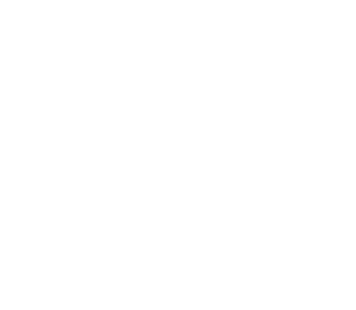 White Voxel Logo